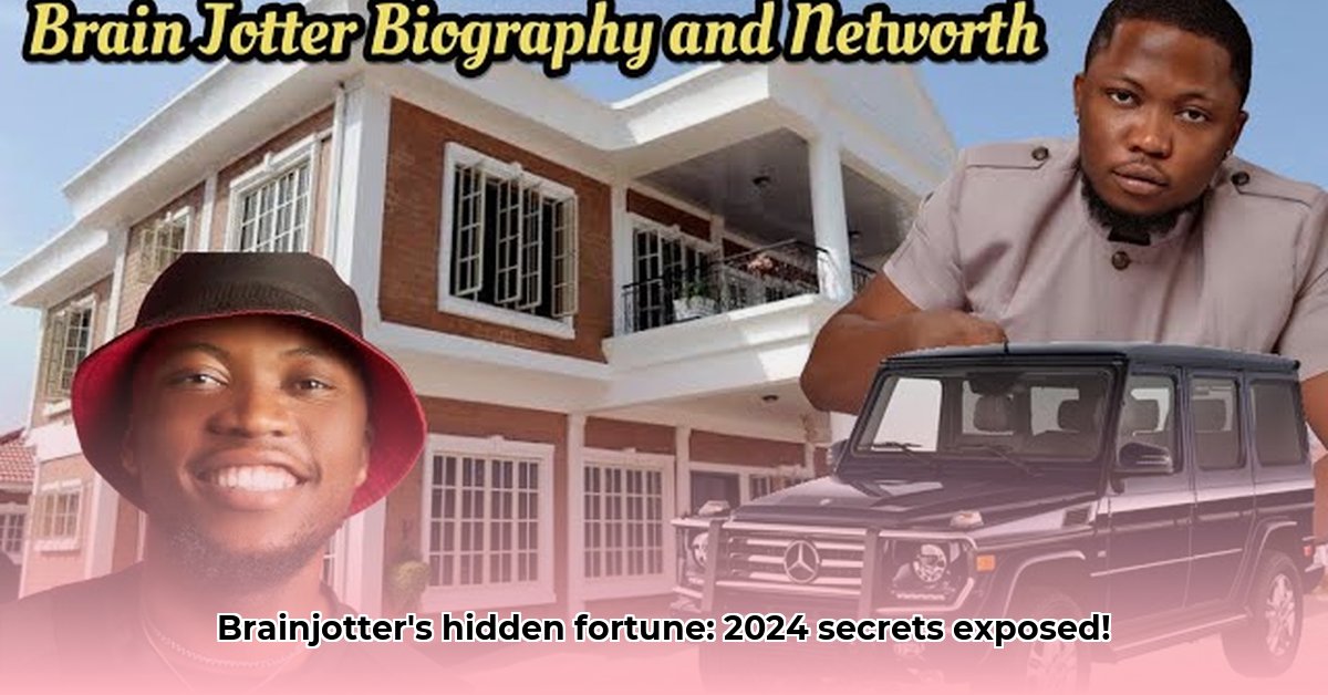 brainjotter-net-worth